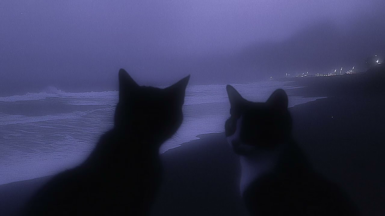 close your eyes and relax 
