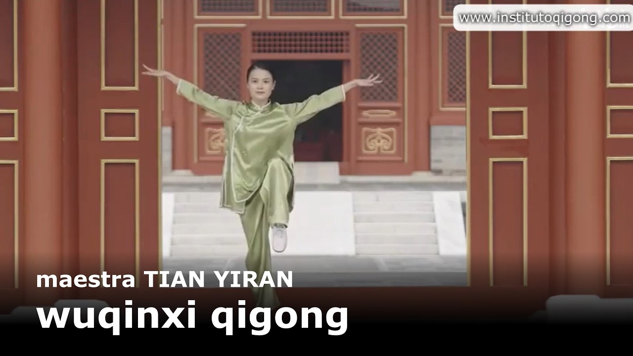 IQB qigong wuqinxi ultima versión 2025
