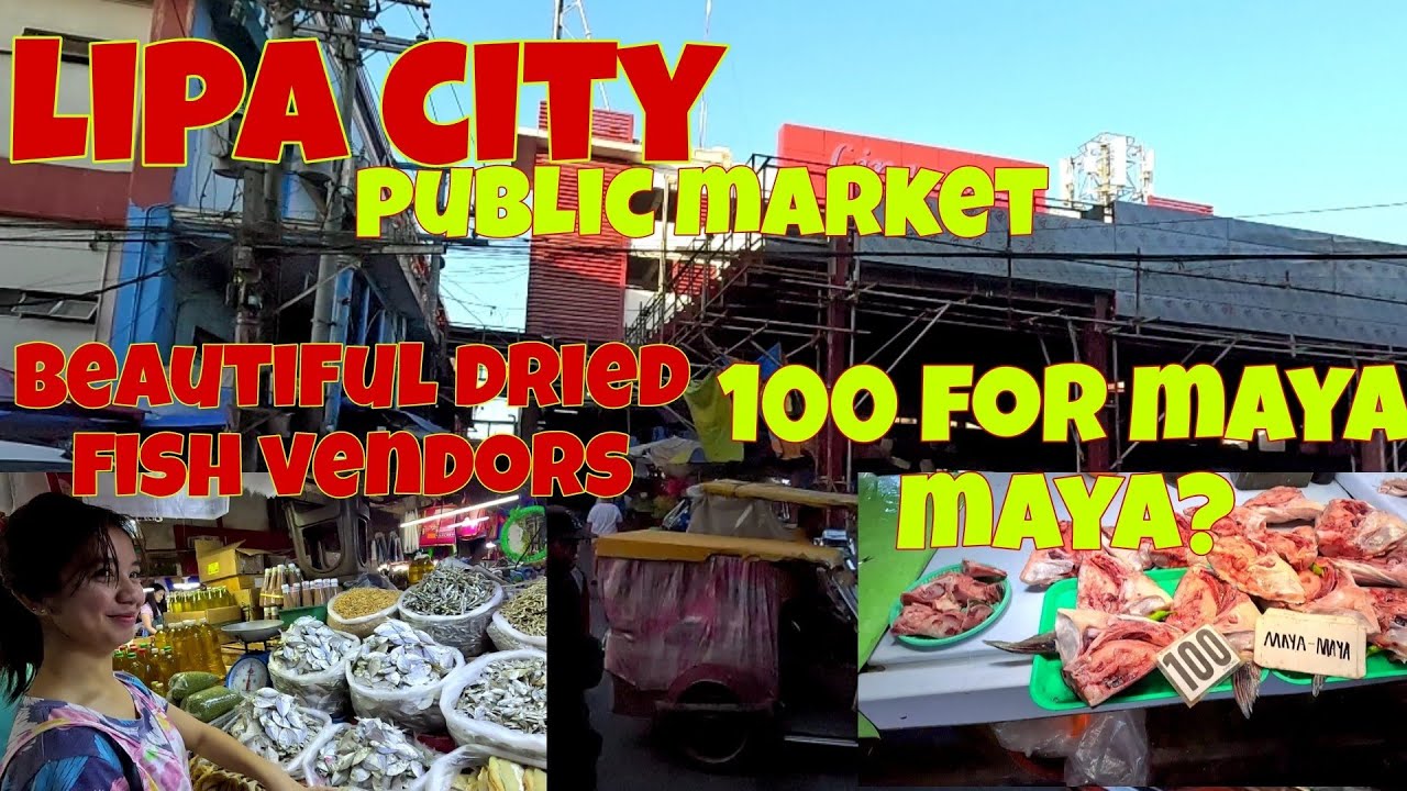 Lipa Batangas | Philippine local Market Adventure | 100 pesos for maya maya?