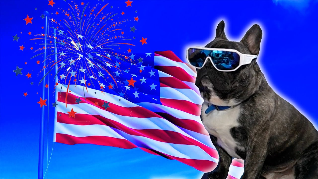 Happy Birthday America...and Happy Birthday Mr. Gizmo!!!