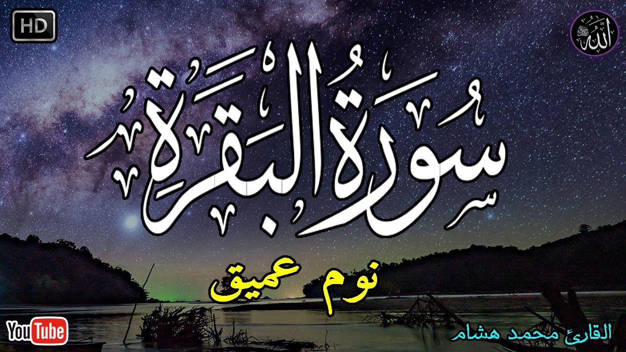 سورة البقرة طاردة الشياطين💚 بصوت هادئ ومريح جدا جدا 💚💤تلاوة هادئة للنوم والراحة النفسية 😴