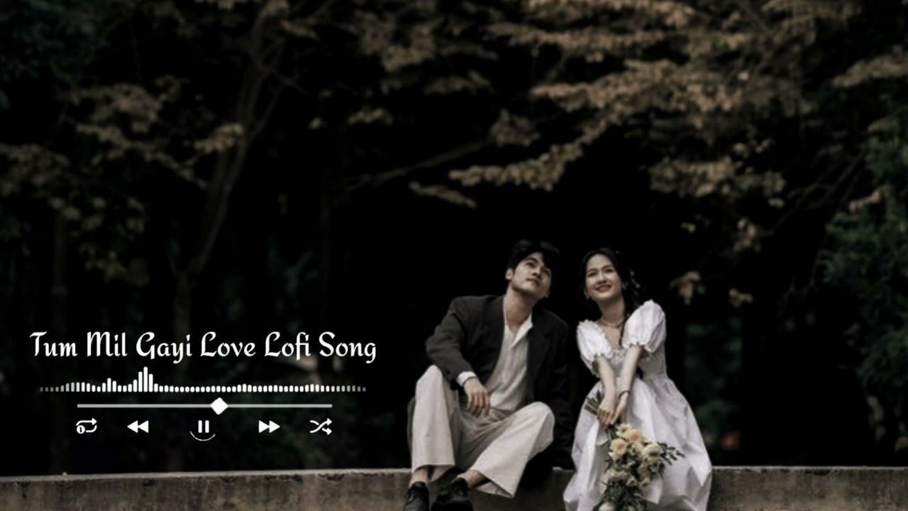 तुम मिल गई दुनिया मिल गई || New lofi Love Song Hindi 2026 ||
