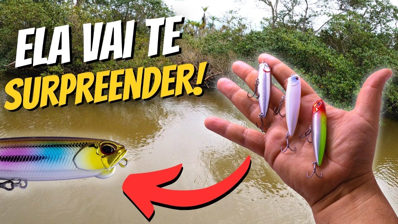 CADA ATAQUE É UMA EMOÇÃO!!! Os ROBALOS gostaram dessa isca de superfície