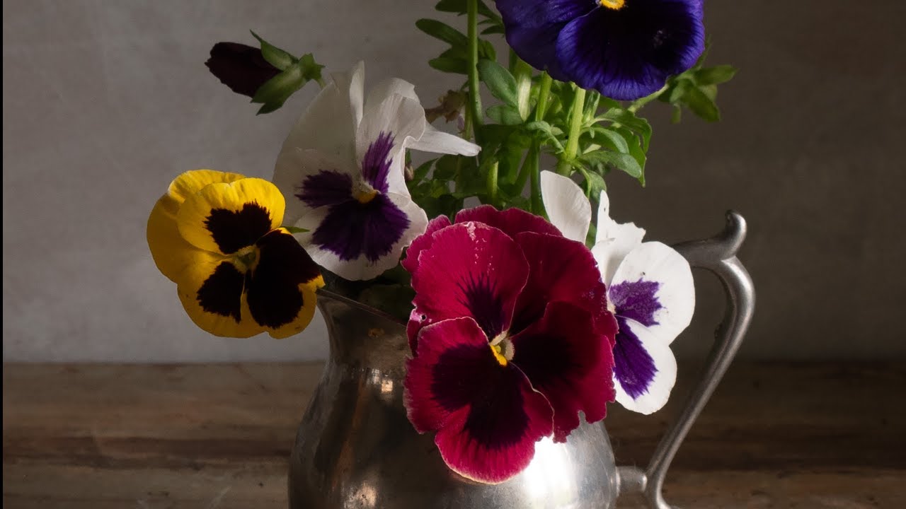 Painting Pansies and fixing mistakes - oil painting demonstration