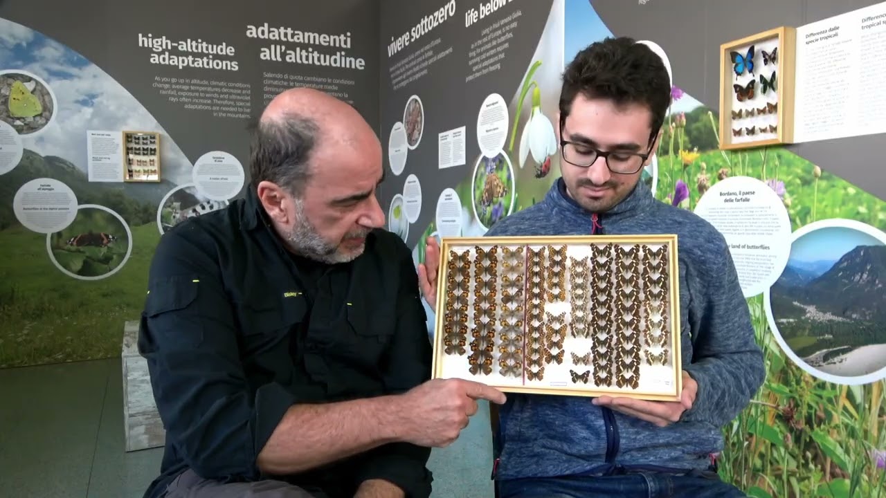 Perché i musei sono essenziali per la scienza? Le storie nascoste nelle collezioni