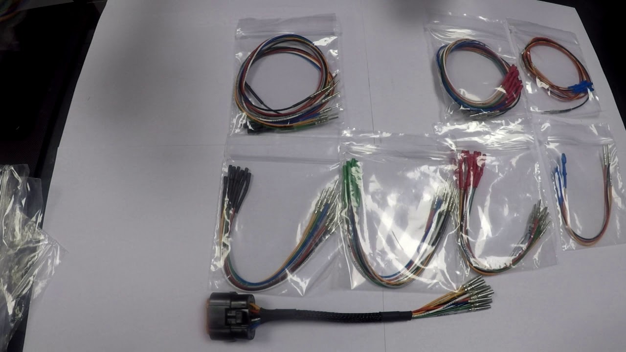 Unboxing E-GPT para New Trasdata