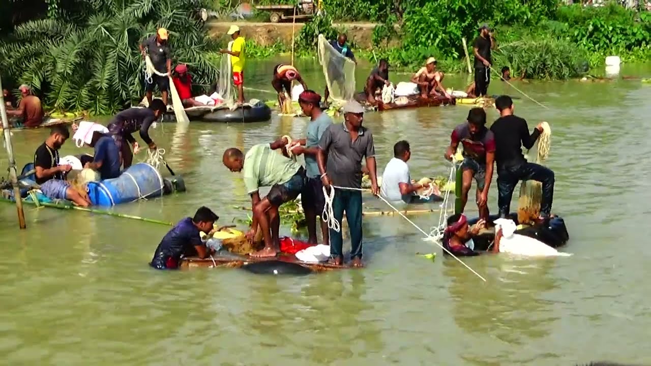 A historical fishing chance for village fishermen 🐟