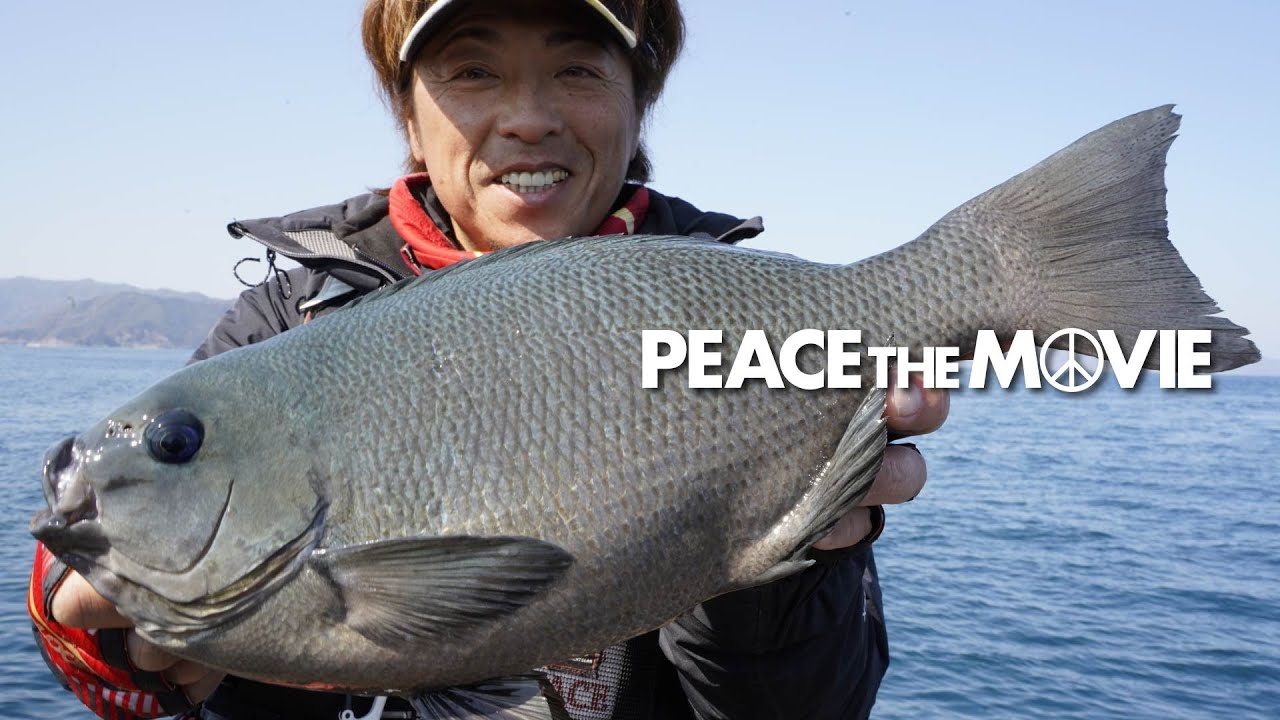 PEACE THE MOVIE #88「初津久見でグレ釣り!!」九州地方・大分県津久見の旅(後編)/平和卓也(1047)