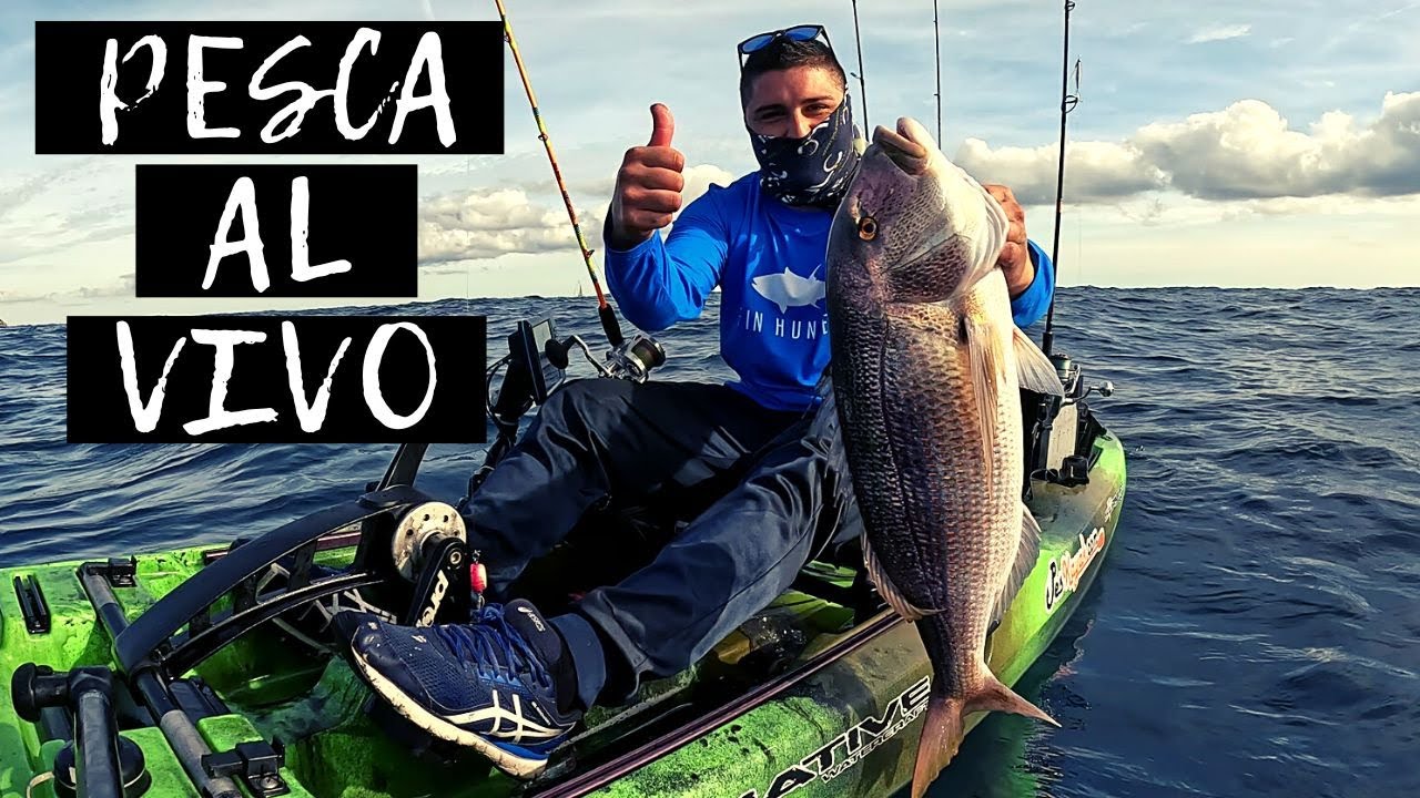 Incluso PESCANDO al VIVO se lo piensan. Razón por la que hay que insistir. ¿SEPIA VS CALAMAR?