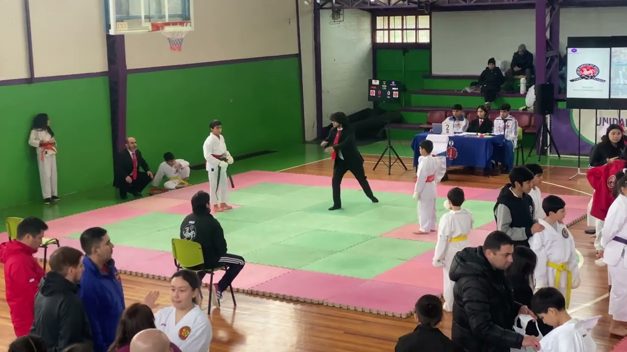 Campeonato regional Perquenco 30-6-2024