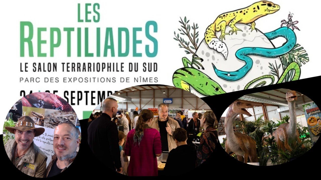 Nîmes 2022 bourse au reptiles en France (pas de venimeux, Planet Exotica)-venom.x