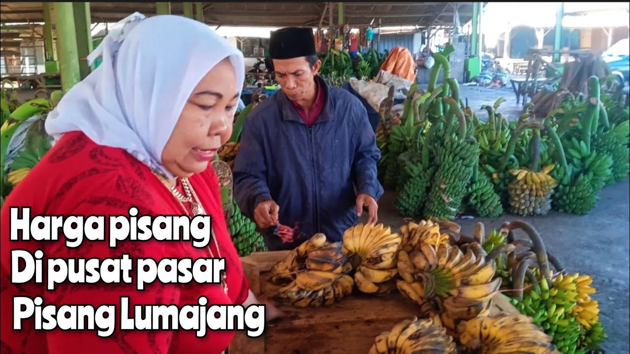 LIHAT HARGA PISANG DI PUSAT PASAR PISANG LUMAJANG JATIM
