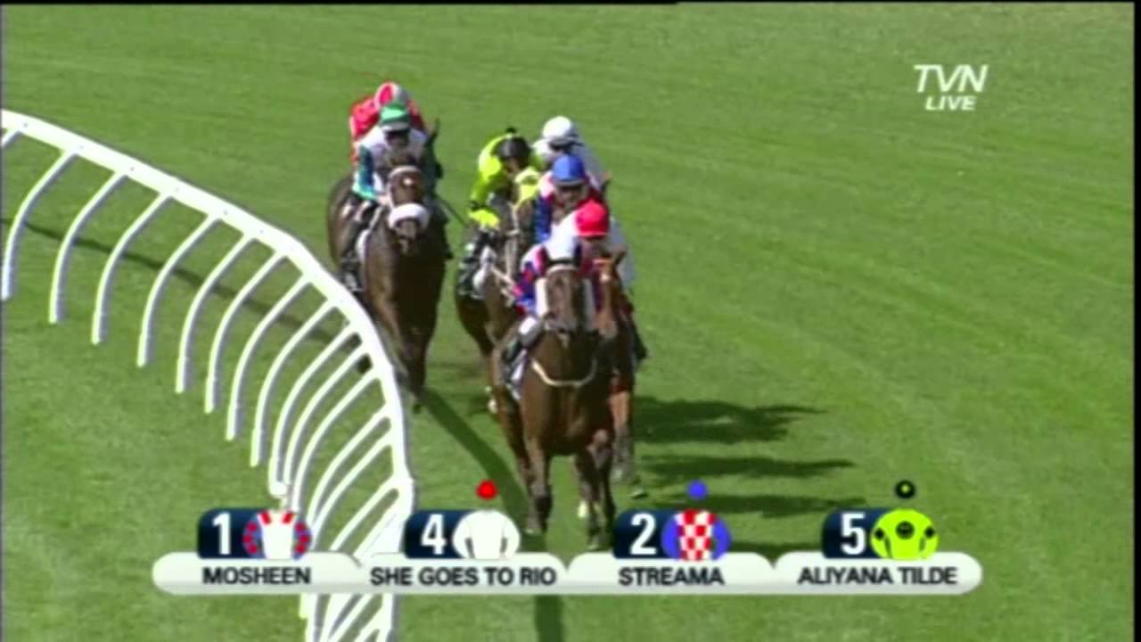 2012 Vinery / Storm Queen Stakes- Mosheen