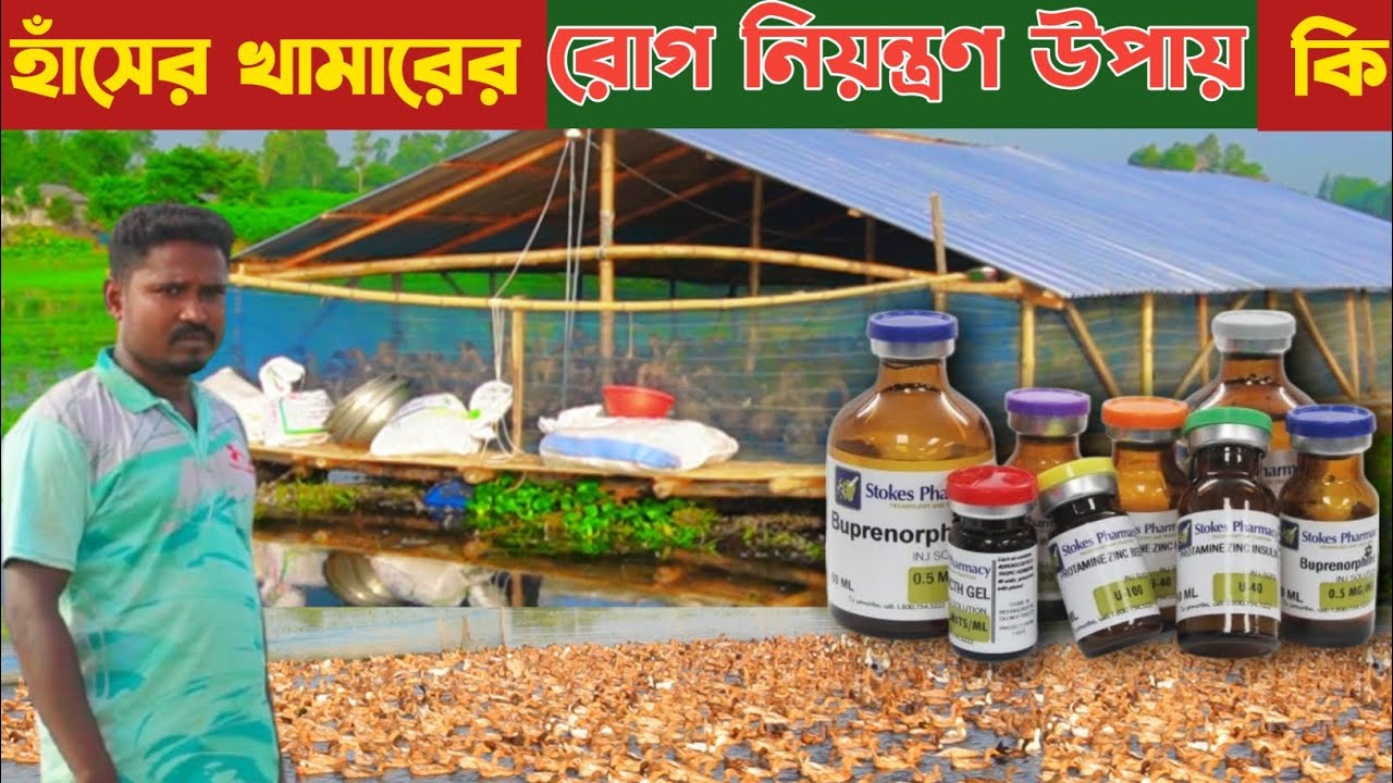 কেমন করে খামারে রোগ নিয়ন্ত্রণ করবেন -- খামার পেশায় রোগের লক্ষণ -- সচেতনতা -- Bangla Khamar#khmar 