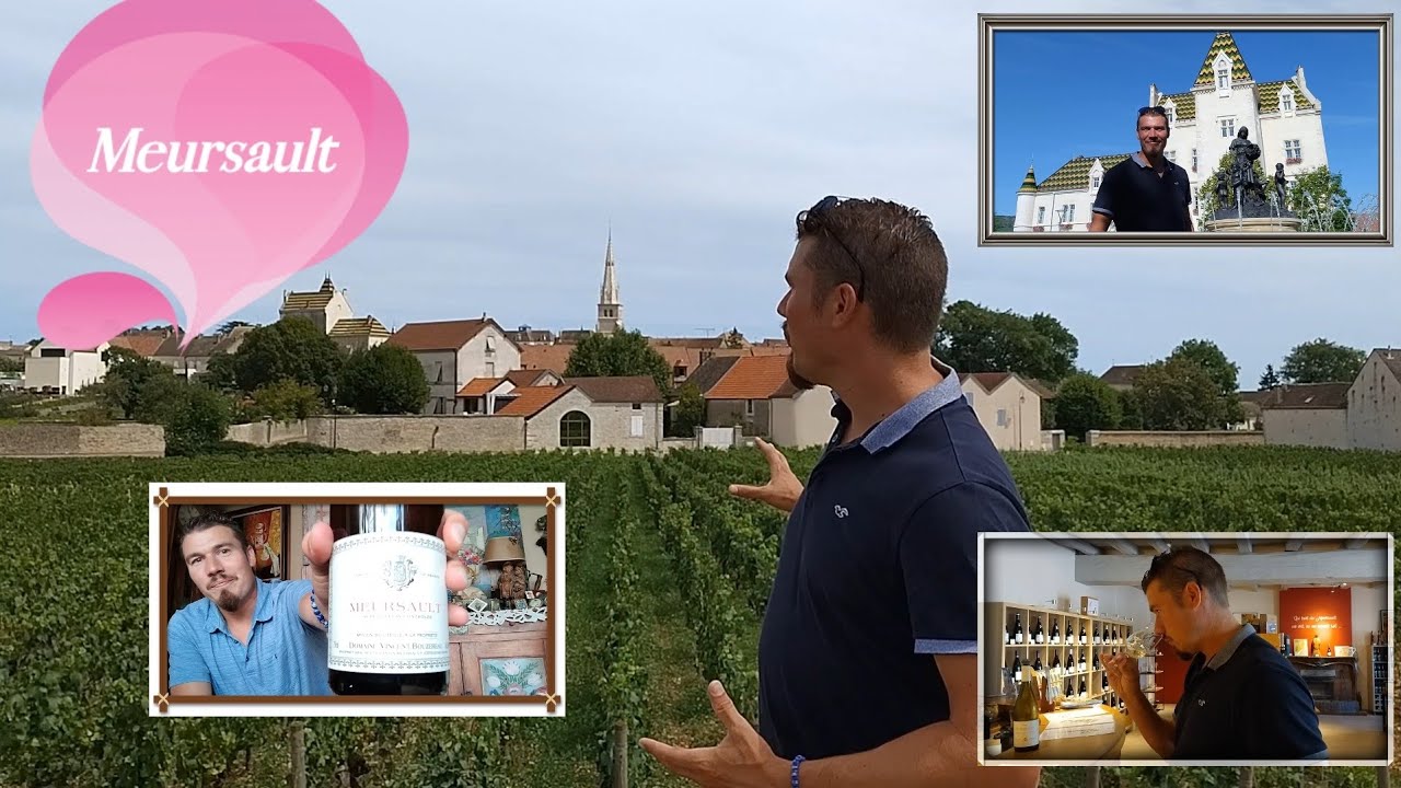Le vignoble de Meursault