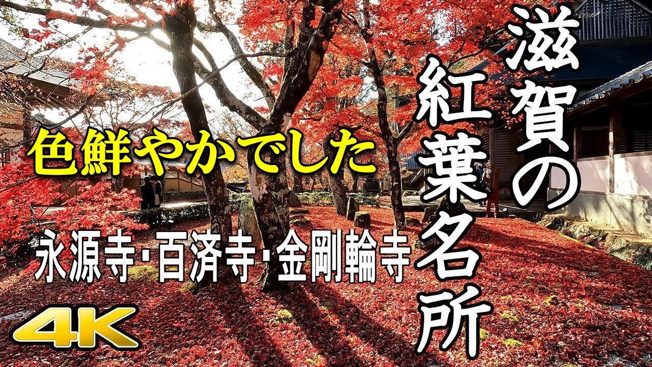 【4K 滋賀の紅葉名所🍁】永源寺･百済寺･金剛輪寺