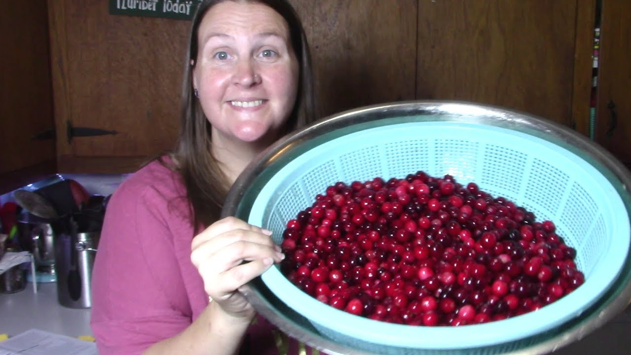 5 Fantastic Ways to PRESERVE CRANBERRIES!