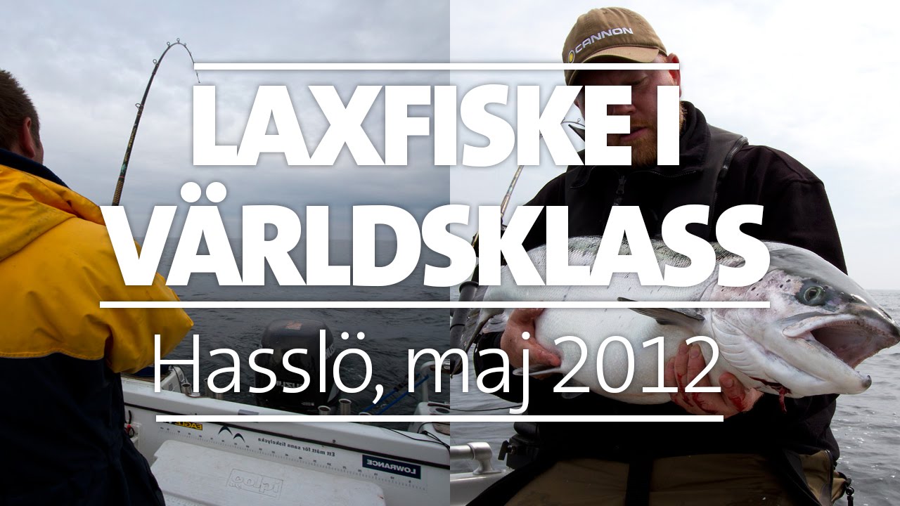 Laxtrolling Hassl&ouml; - Dubbelhugg 14,6 & 10,4 kilo bland annat