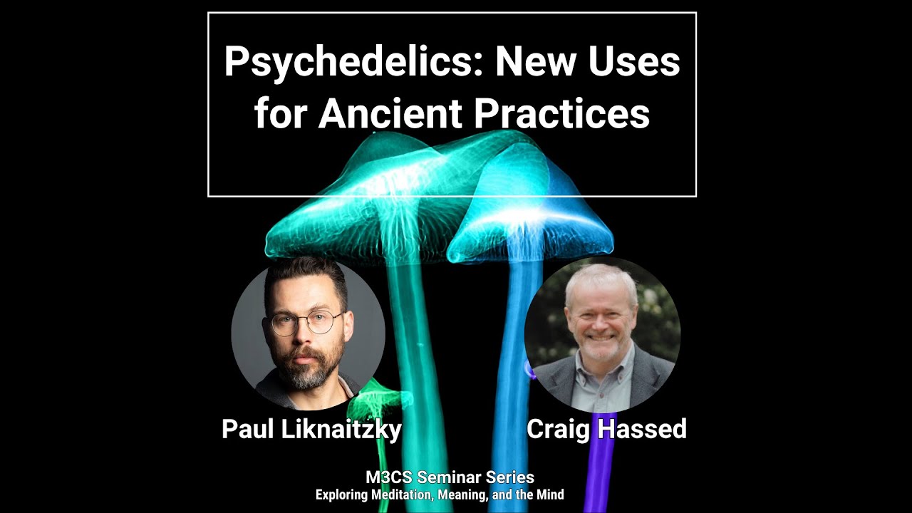 Psychedelics: New Uses for Ancient Practices | Paul Liknaitzky | M3CS Seminar Series