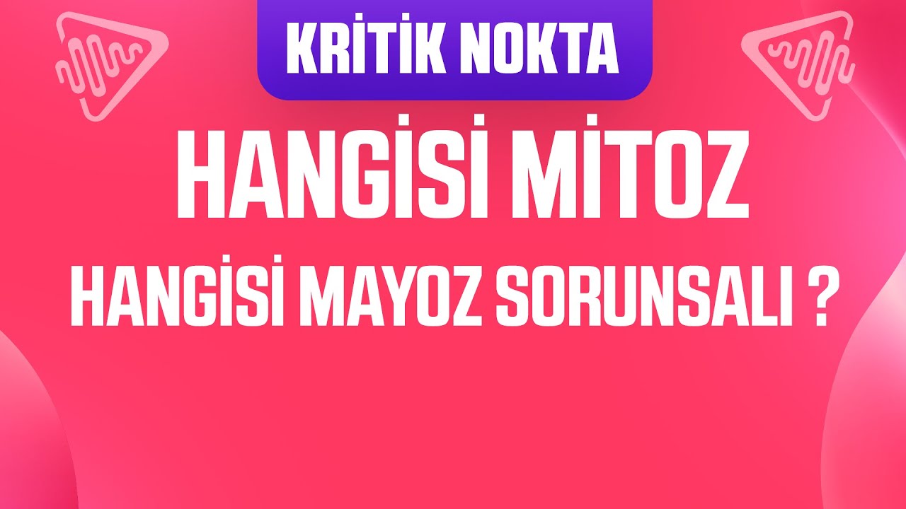 HANGİ ŞEKİL MİTOZ , HANGİ ŞEKİL MAYOZ SORUNSALI ?