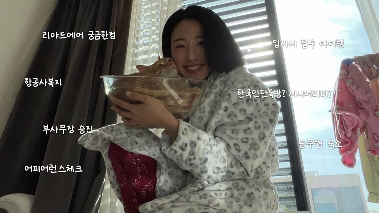 여러분들은 리야드항공이 알고 싶겠지만, 난 고양이를 자랑하고 싶어 | 숙소 | 승진 | 복지 | 신입나이 |
