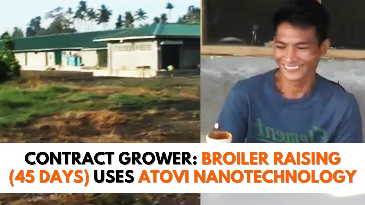 Broiler Raising (45 Days) using Atovi Nanotechnology | Tiaong, Quezon Province