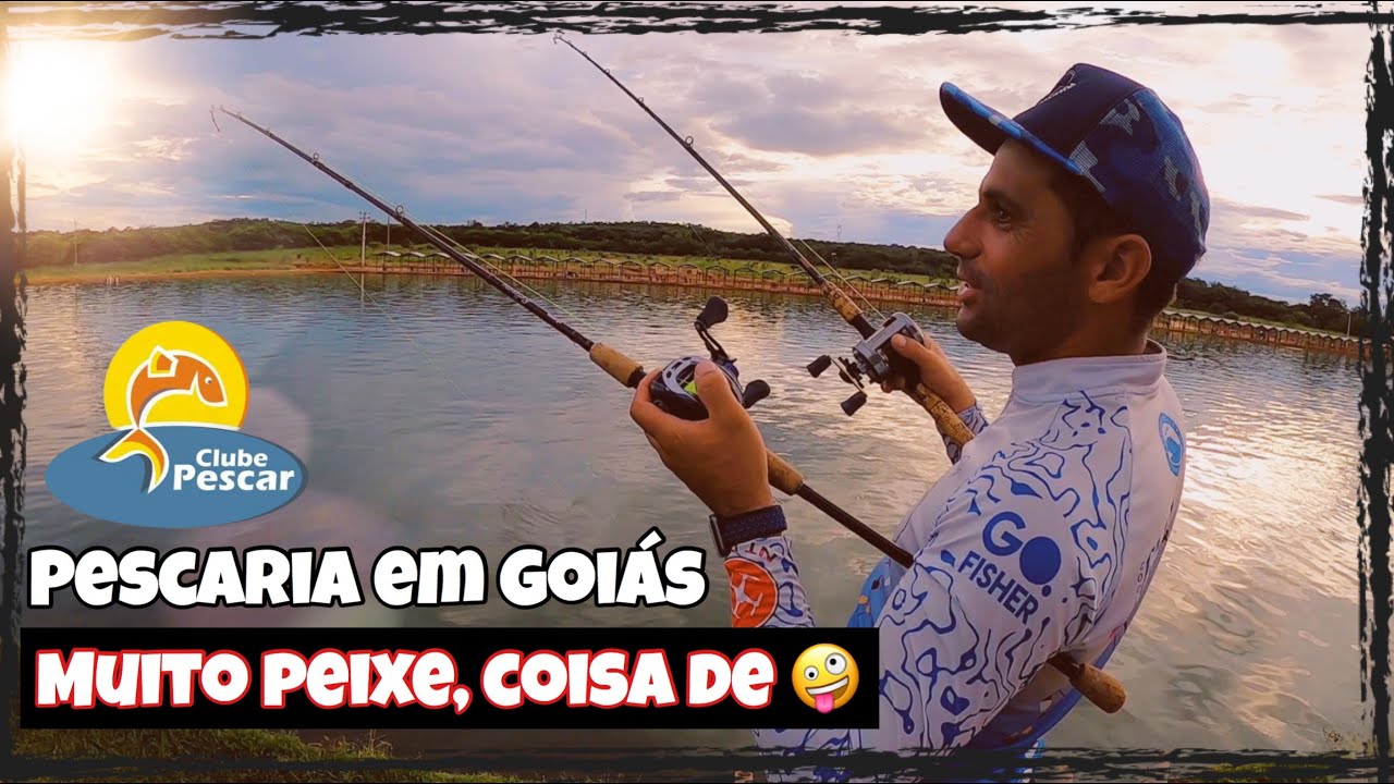 Pescaria no CLUBE PESCAR em GOIÁS, MUITO PEIXE na linha!