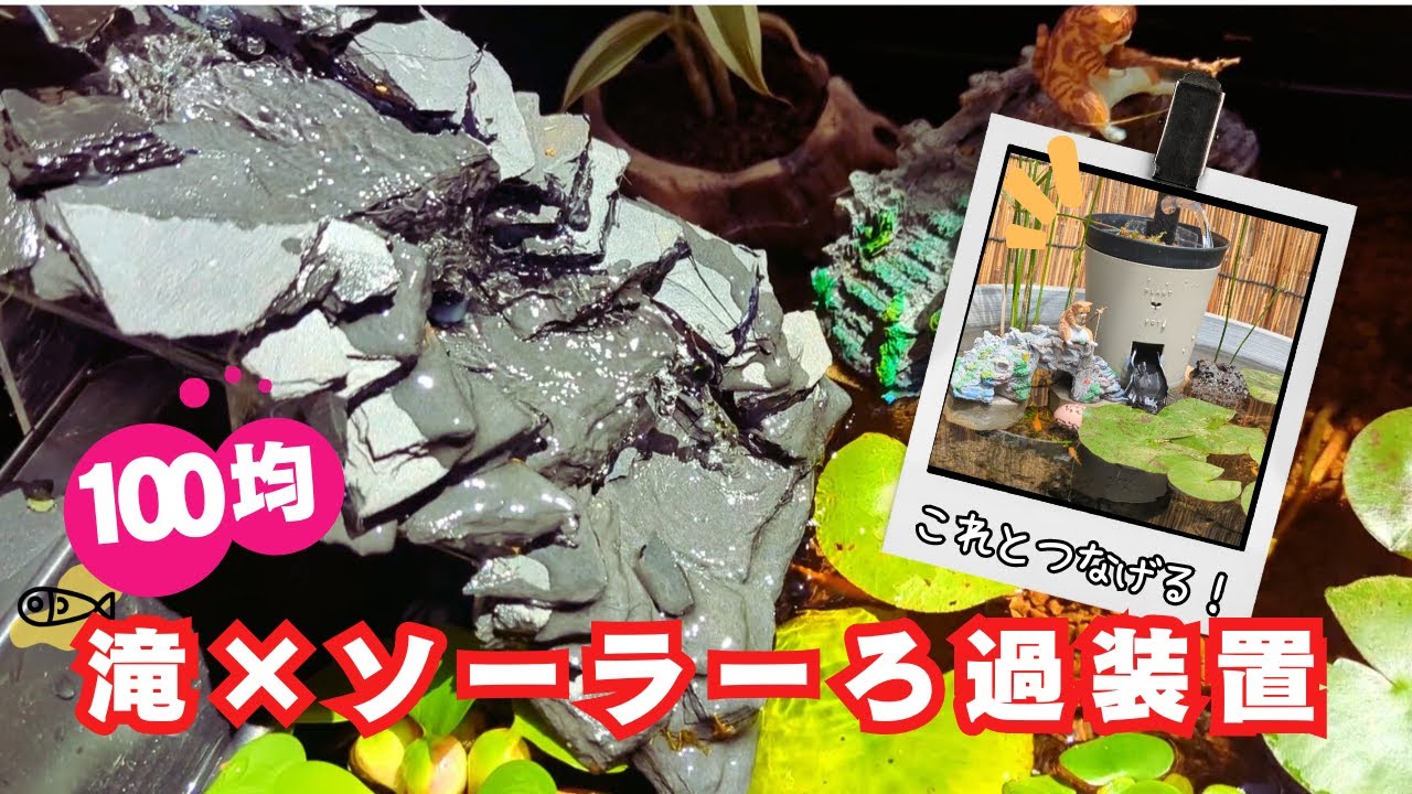滝が流れるメダカのトロ舟ビオトープ。材料100均2つ。ソーラーろ過ポンプから繋げてみた。