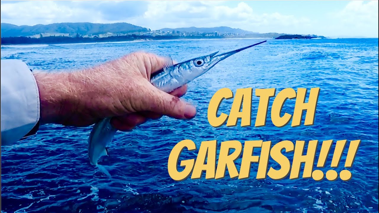 Catching Garfish!