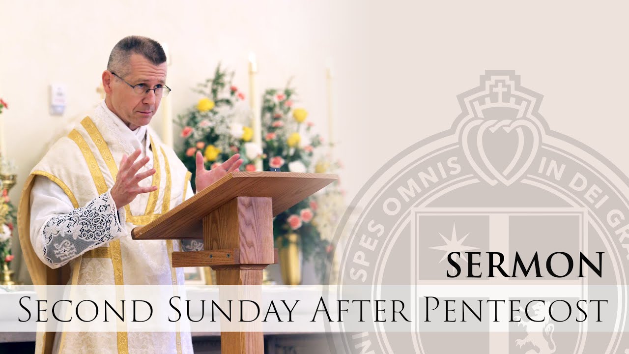 Sermon - Hatred - Fr. Goshie - Second Sunday After Pentecost - 6/11/23