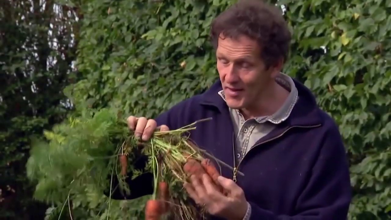 Gardening Advice episode 2 - How to grow onions