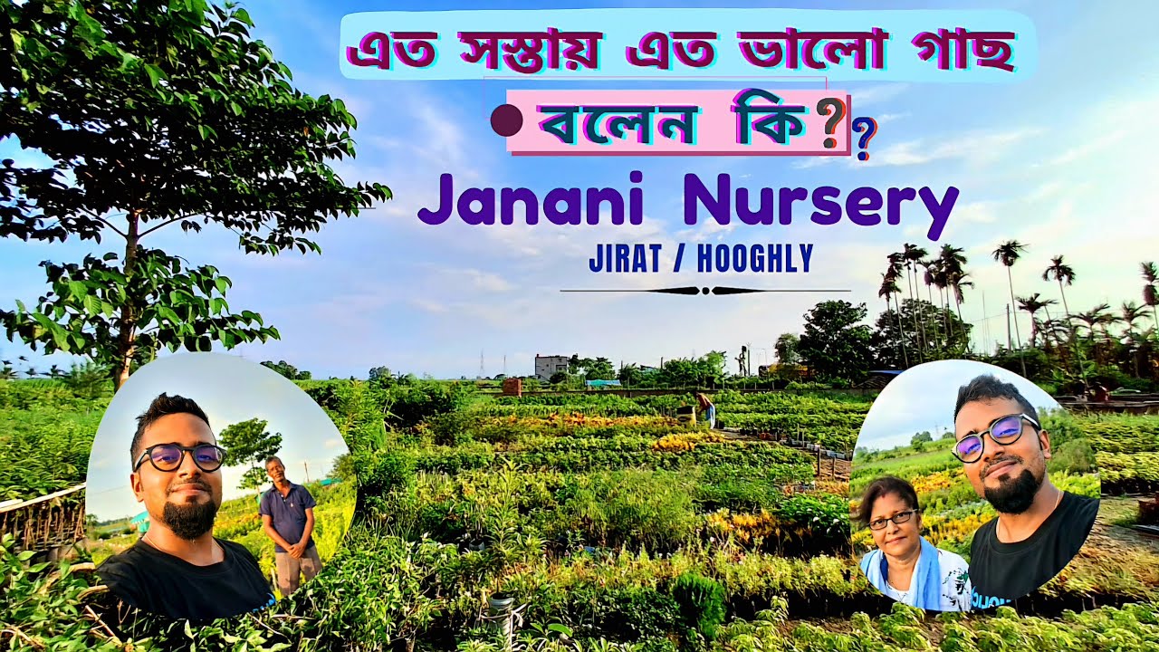 সঠিক দামে পছন্দসই ফুল 🌸 ও ফলের 🍍 গাছ নিজে পছন্দ করে  নিয়ে যাও জননী নার্সারী থেকে | Jirat / Hooghly