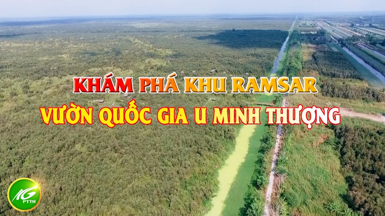 Khám phá khu Ramsar Vườn Quốc gia U Minh Thượng | THKG