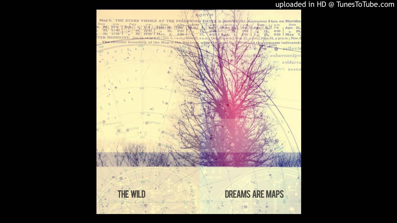 The Wild - There's a Darkness (but There's also a Light)