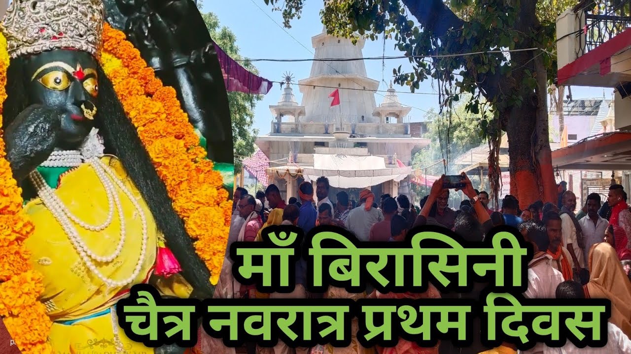 Maa birasani #birsinghpurpali #chetranavratri #viralvideo #trendingshorts #mpvloger