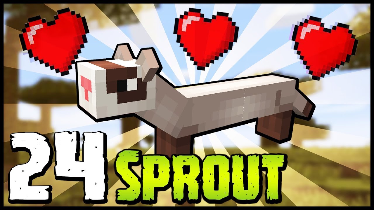 Egy Saját Görény! 😍 - Sprout 24