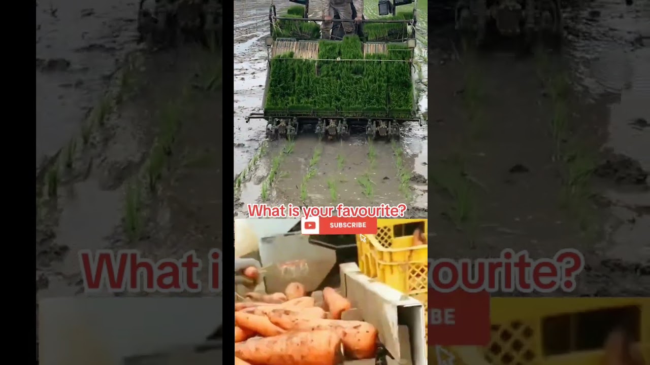 farming equipment#mechanised farming#planting machine#havesting machine#trendingvideo
