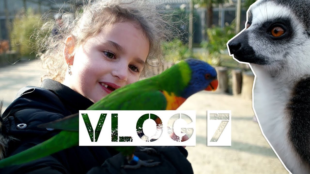 Naar Landgoed Hoenderdaell #Vlog 7