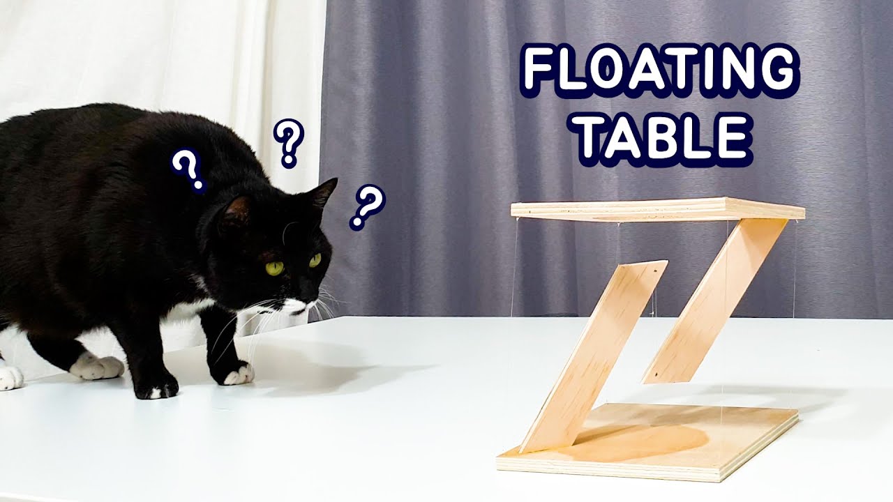 Amazing Floating Table (Tensegrity Cat Dining Table)