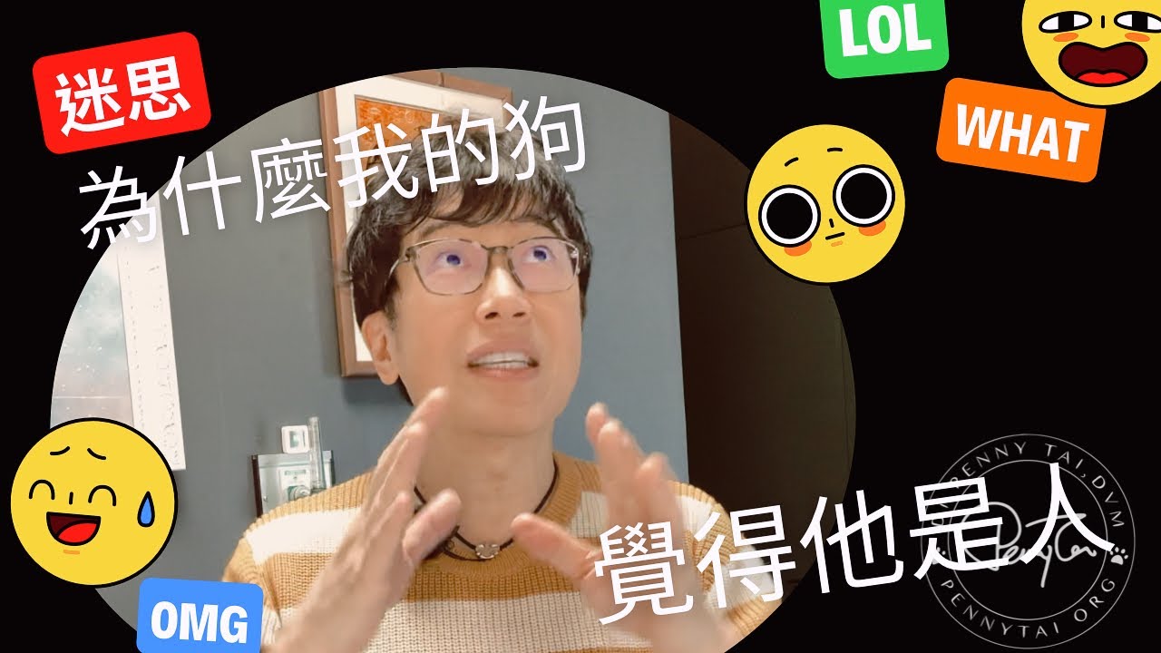 我的狗覺得自己是人！ 你的狗也會覺得自己是人嗎？你覺得你的狗是不是人？