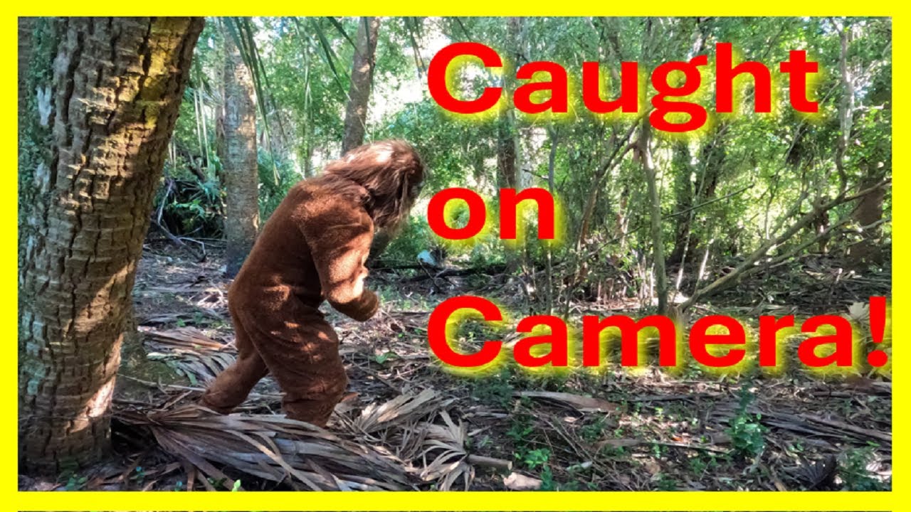 Unbelievable Encounter with Little Foot: The Florida Bigfoot Adventure You Can't Miss!