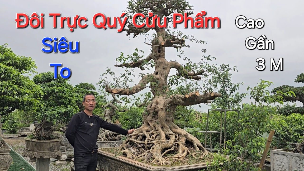 Soi kỹ ĐÔI TRỰC QUÝ - HÀNG KHỦNG của NV TÀI BƯỞI - Hưng Yên - ĐT: 0965.737.868 .