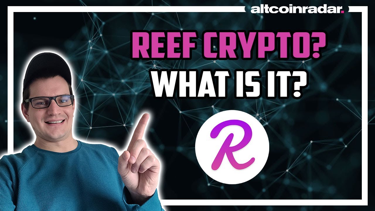 What is Reef Crypto? Reef Crypto for Absolute Beginners
