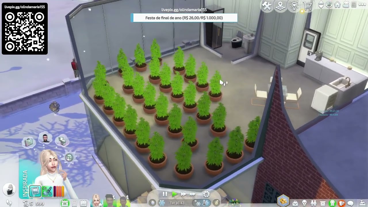 Bora jogar! Legalizando a verdinha.. (Part 19/23)