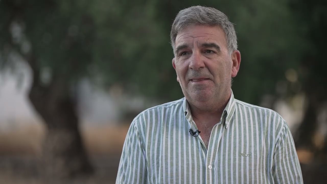 Olive Carbon Balance: Créditos de carbono en el olivar