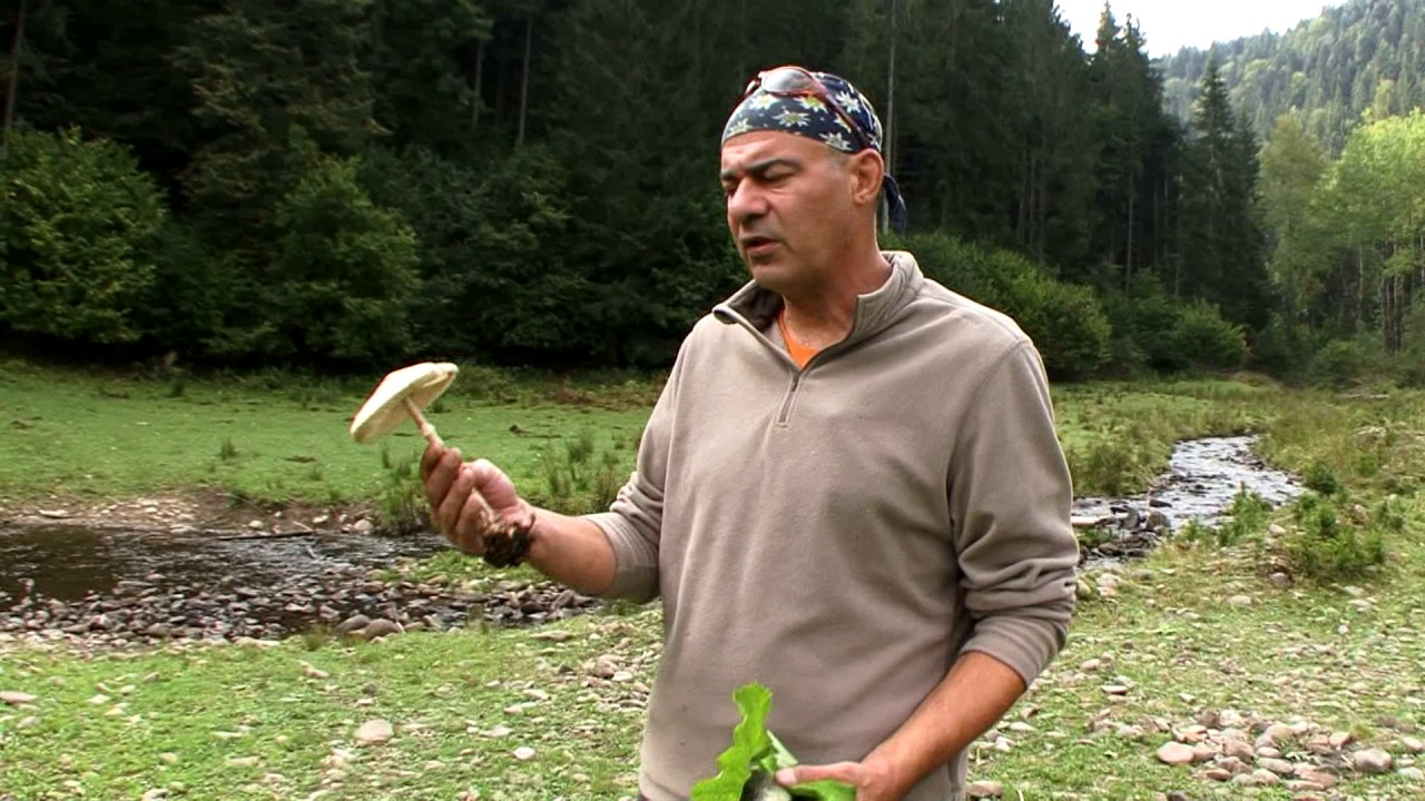 Natură şi aventură - Mâncările naturii