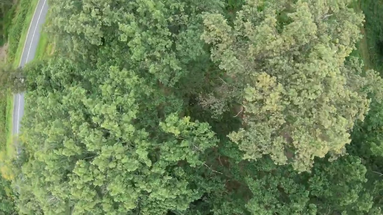 compil spot 2