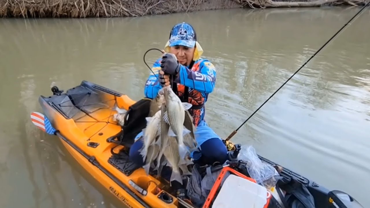 comenzo la corrida de whitebass en dallas tx 
