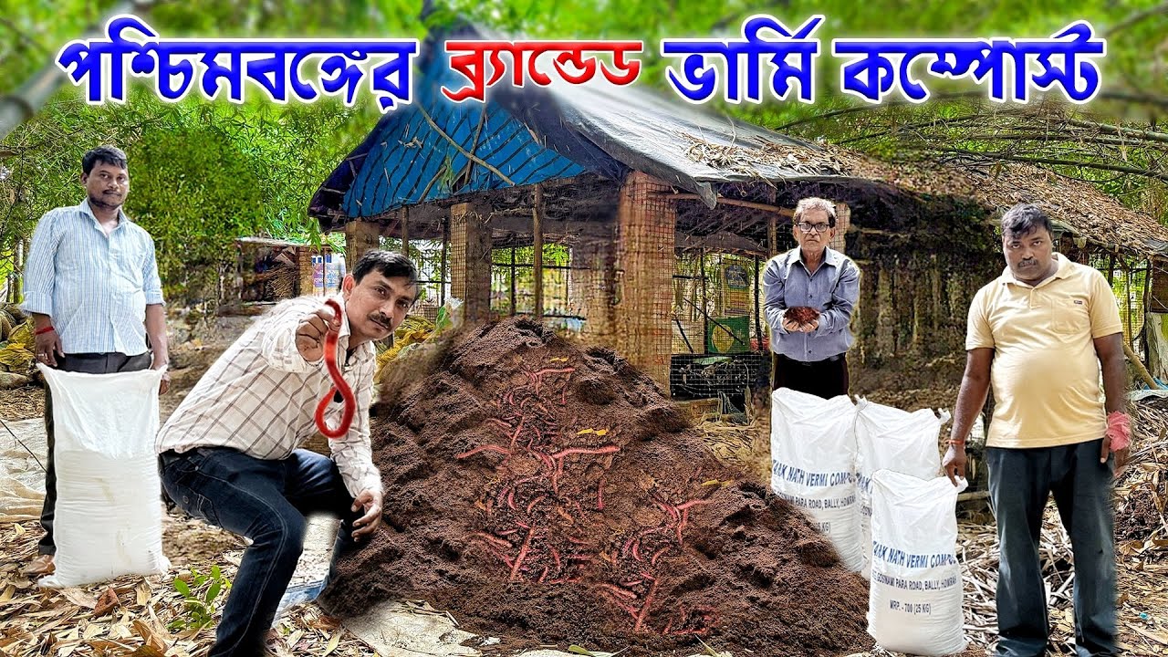 পশ্চিমবঙ্গের ব্র্যান্ডেড ভার্মি কম্পোস্ট | Vermicompost | কেঁচো সার | Organic Fertilizer