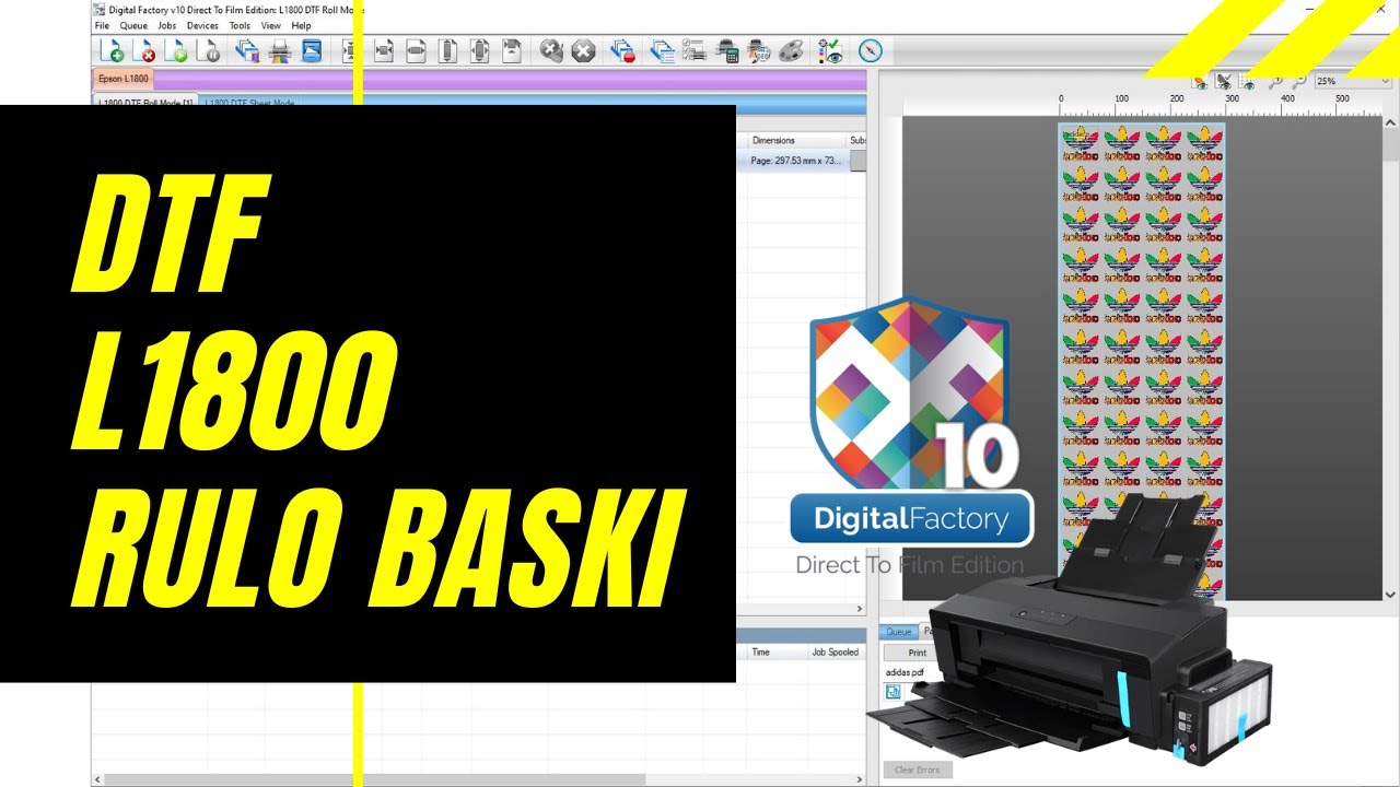 DTF Rulo Baskı & Vektör Logo Baskısı